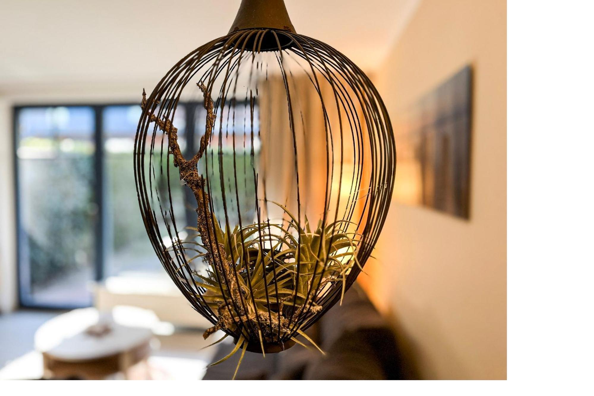 Feriendorf Papillon Wohnung 09-3 Boltenhagen  Dış mekan fotoğraf